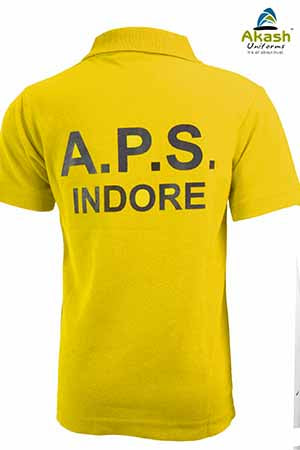 AGARWAL PUBLIC SCHOOL HOUSE T SHIRT