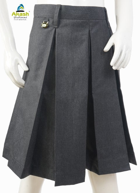 DPS GREY DIVIDERS (CLASS 6th to 12th)