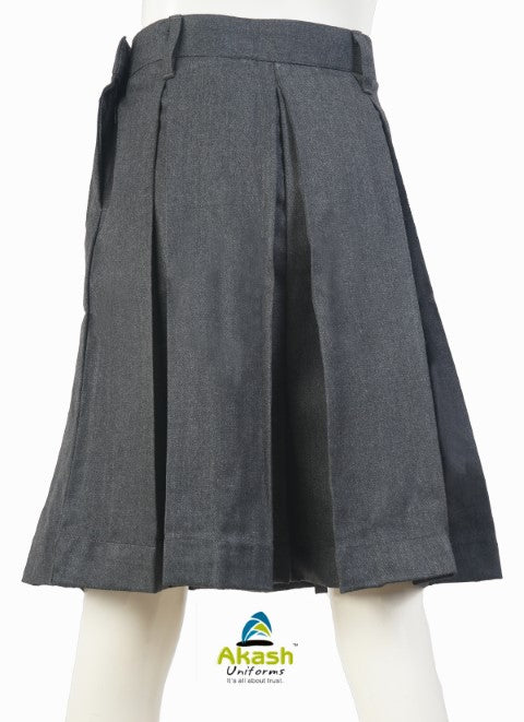 DPS GREY DIVIDERS (CLASS 6th to 12th)