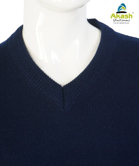 SHRI SATHYA SAI VIDHYA VIHAR, INDORE - FULL SWEATER (SENIOR) (CLASS 1-12)