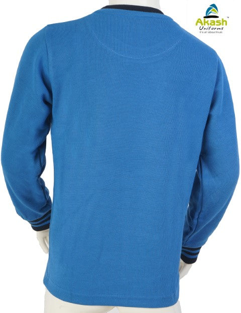 DPS (Indore) HOUSE FULL T-SHIRT (CLASS 1st to 12th)