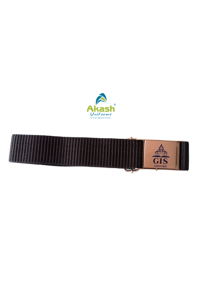 GIS SCHOOL BELT