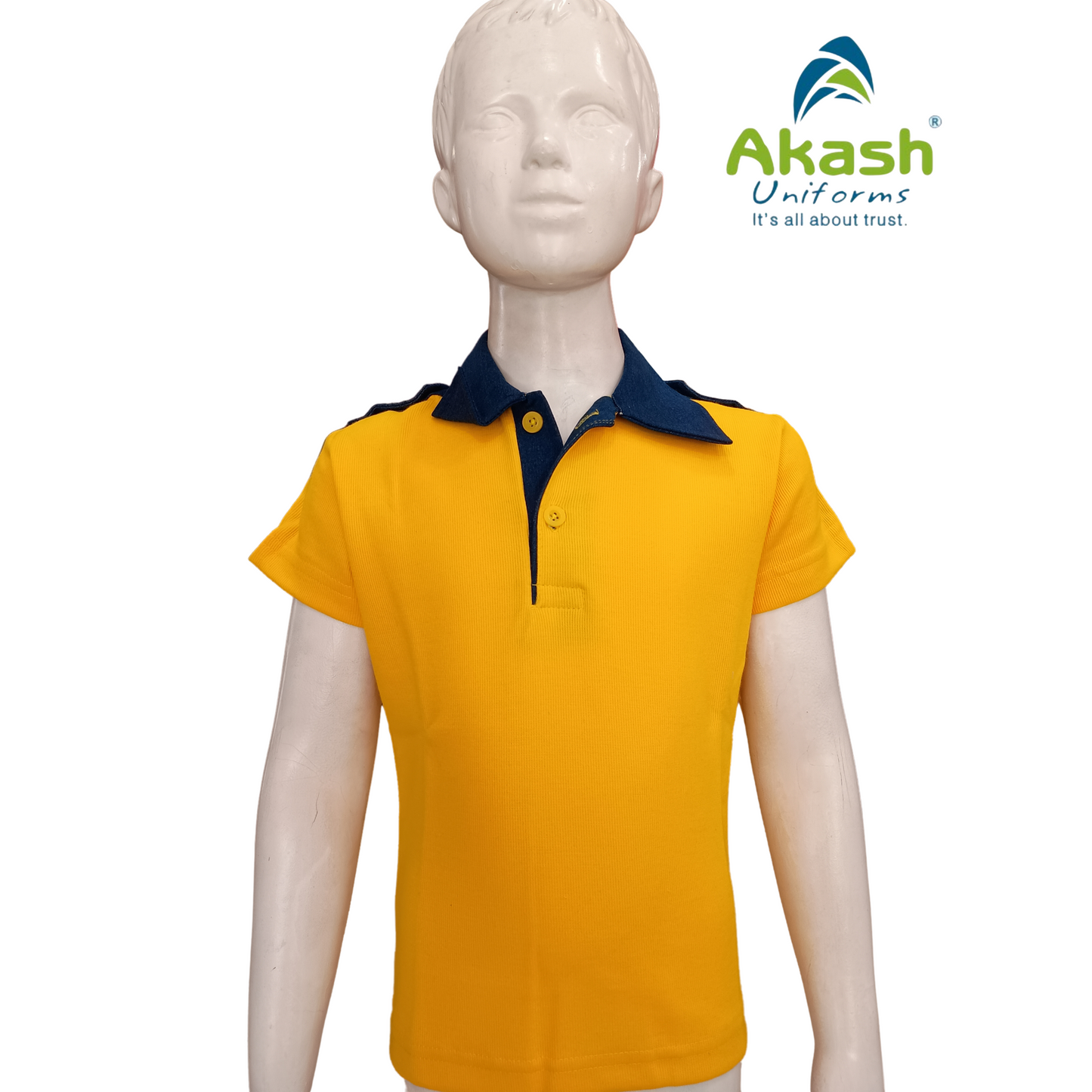 DPS (INDORE) TSHIRT PRE-NURSERY