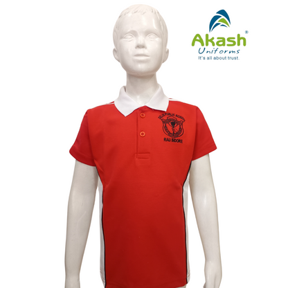DPS (RAU) HOUSE T- SHIRT (CLASS 1-12)