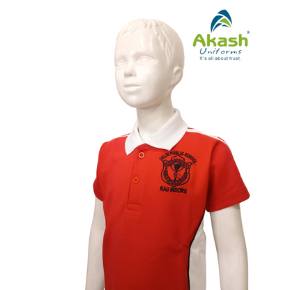DPS (RAU) HOUSE T- SHIRT (CLASS 1-12)