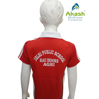 DPS (RAU) HOUSE T- SHIRT (CLASS 1-12)