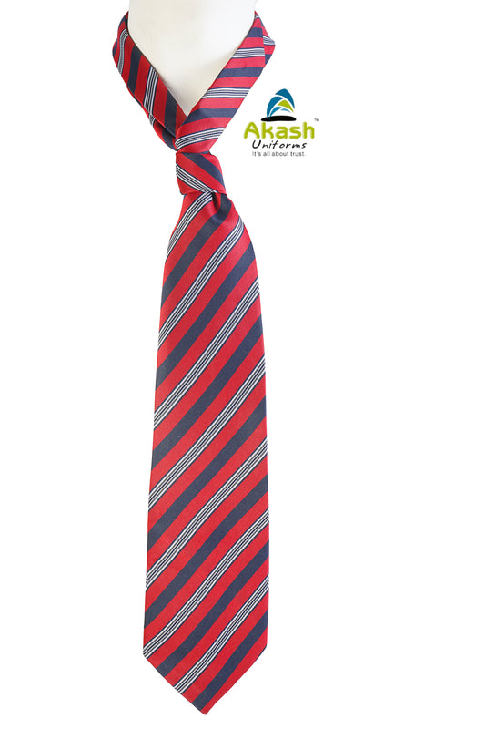 AGRAWAL PUBLIC SCHOOL TIE