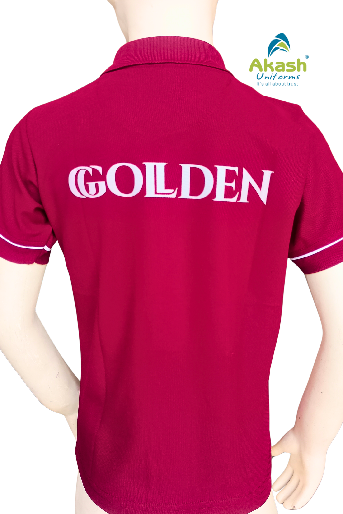 GIS SCHOOL HOUSE T- SHIRT