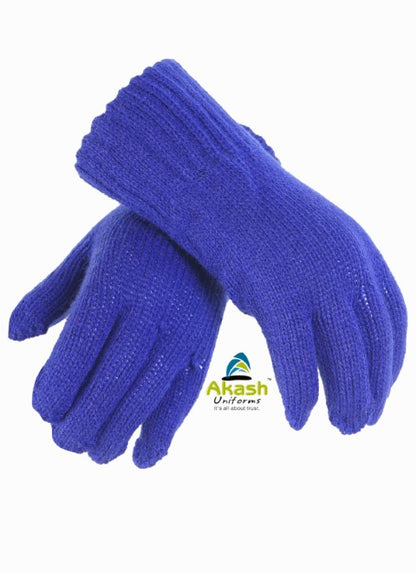 SHRI SATHYA SAI VIDHYA VIHAR, INDORE - WOOLEN  GLOVES