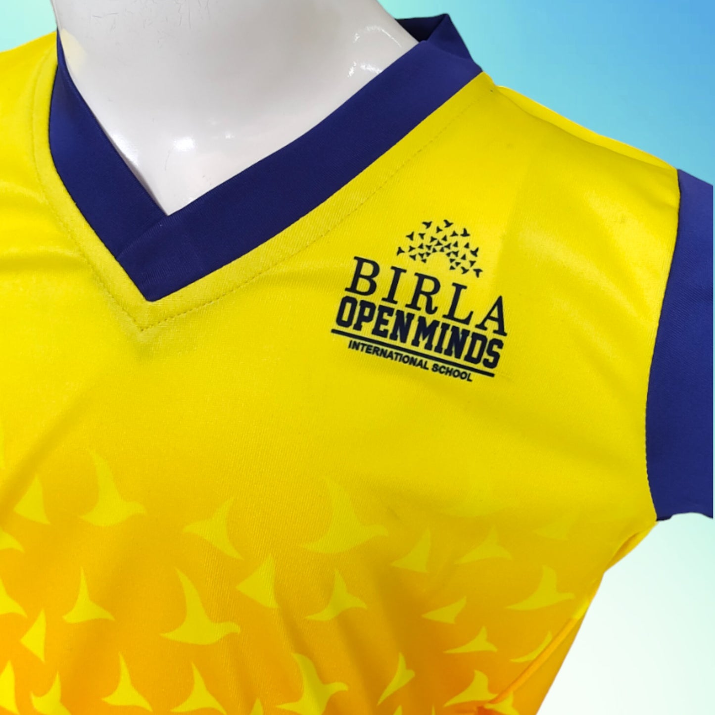 BIRLA SCHOOL, INDORE - HOUSE T-SHIRT