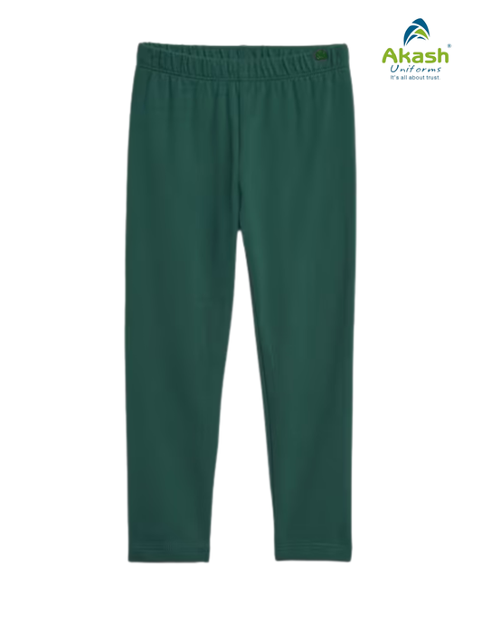 ADVANCED ACADEMY LAGING