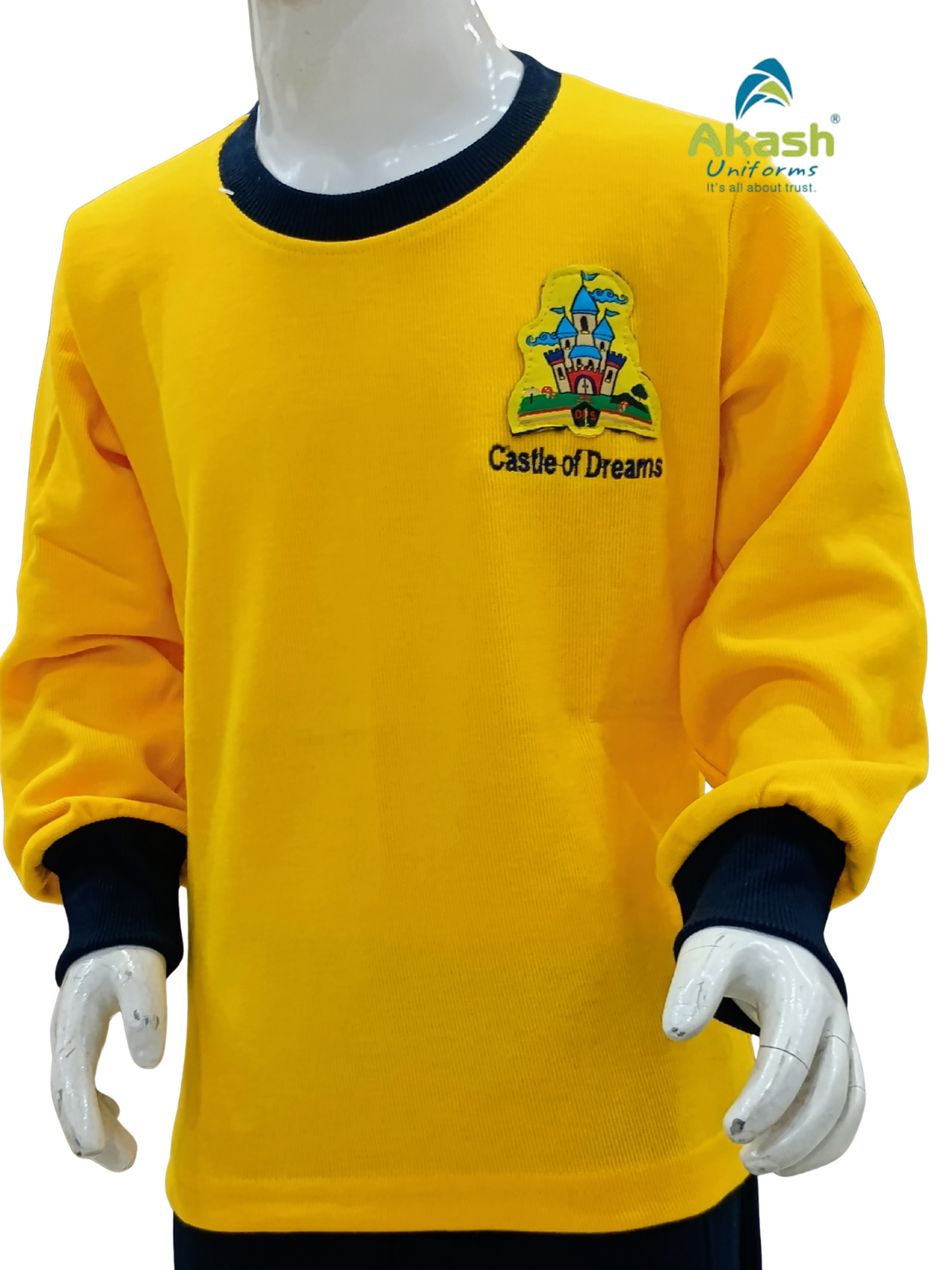 DPS (Indore) PRE NUR. FULL T SHIRT