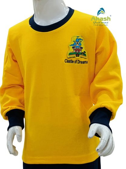 DPS (Indore) PRE NUR. FULL T SHIRT