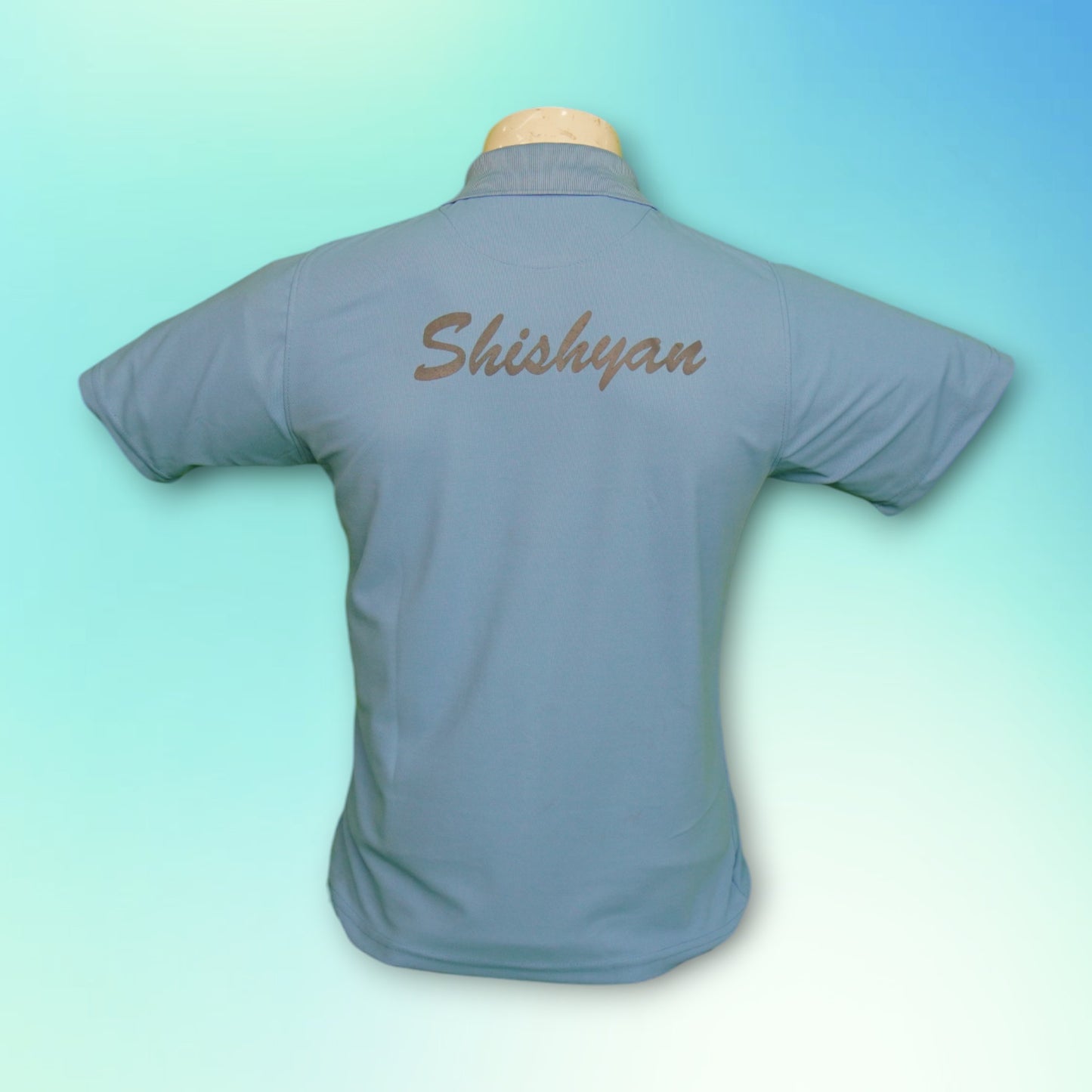 THE SHISHUKUNJ INTERNATIONAL SCHOOL, INDORE -  HOUSE T-SHIRT