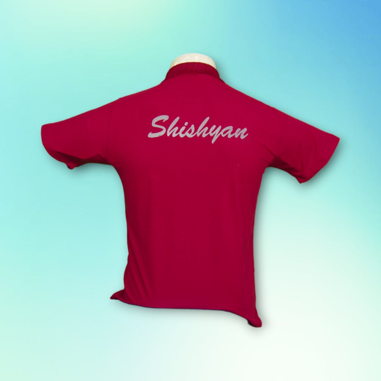 THE SHISHUKUNJ INTERNATIONAL SCHOOL, INDORE -  HOUSE T-SHIRT